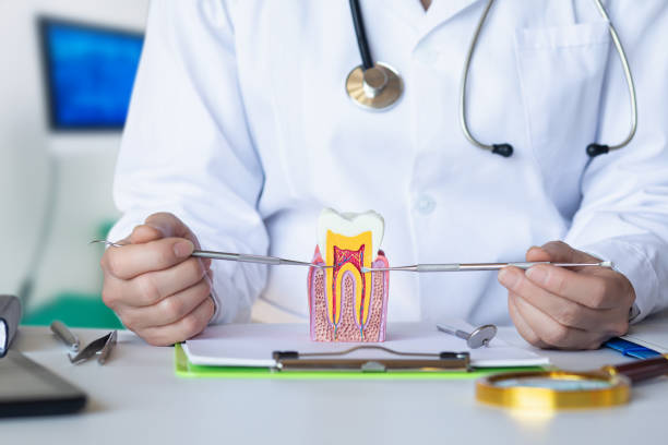Best Walk-In Emergency Dentist in Butner, NC